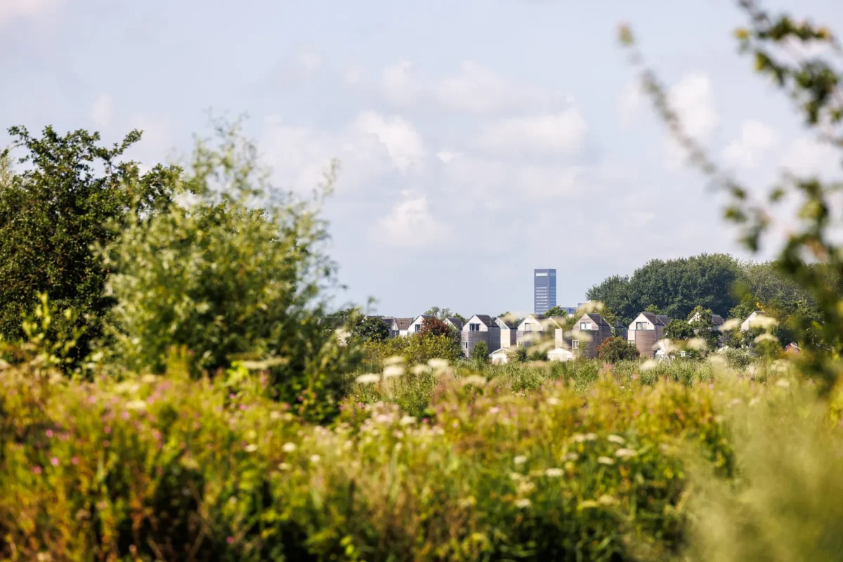 Foto van de achmeatoren in Leeuwarden genomen vanaf het buitengebied