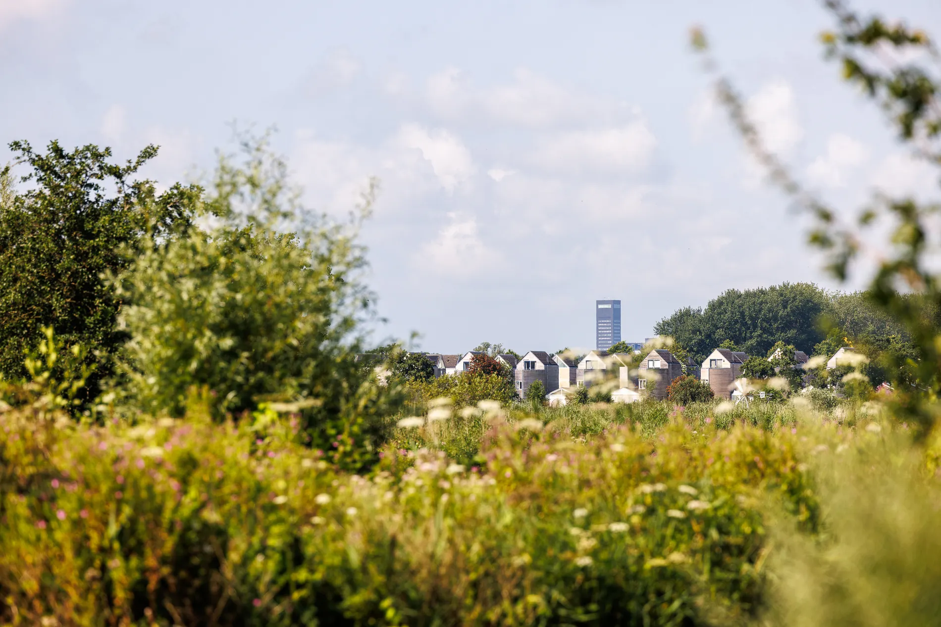 Foto van de achmeatoren in Leeuwarden genomen vanaf het buitengebied