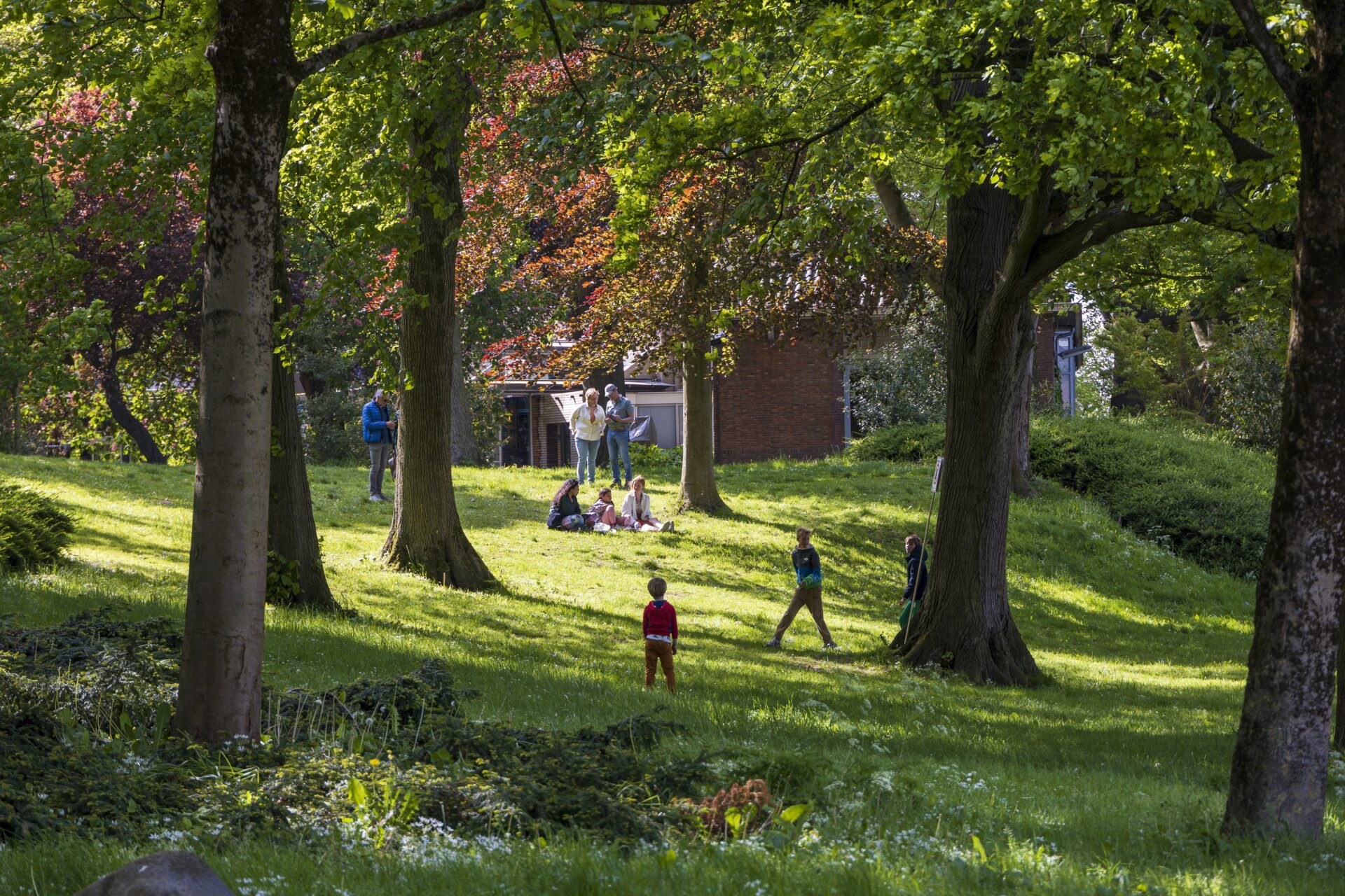 De Prinsentuin in Leeuwarden in de zomer