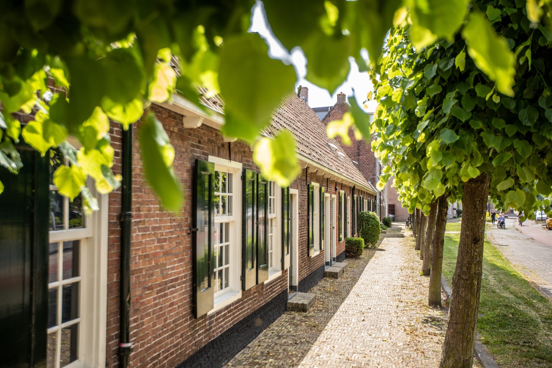 ZOmerse foto van een hofje in Leeuwarden