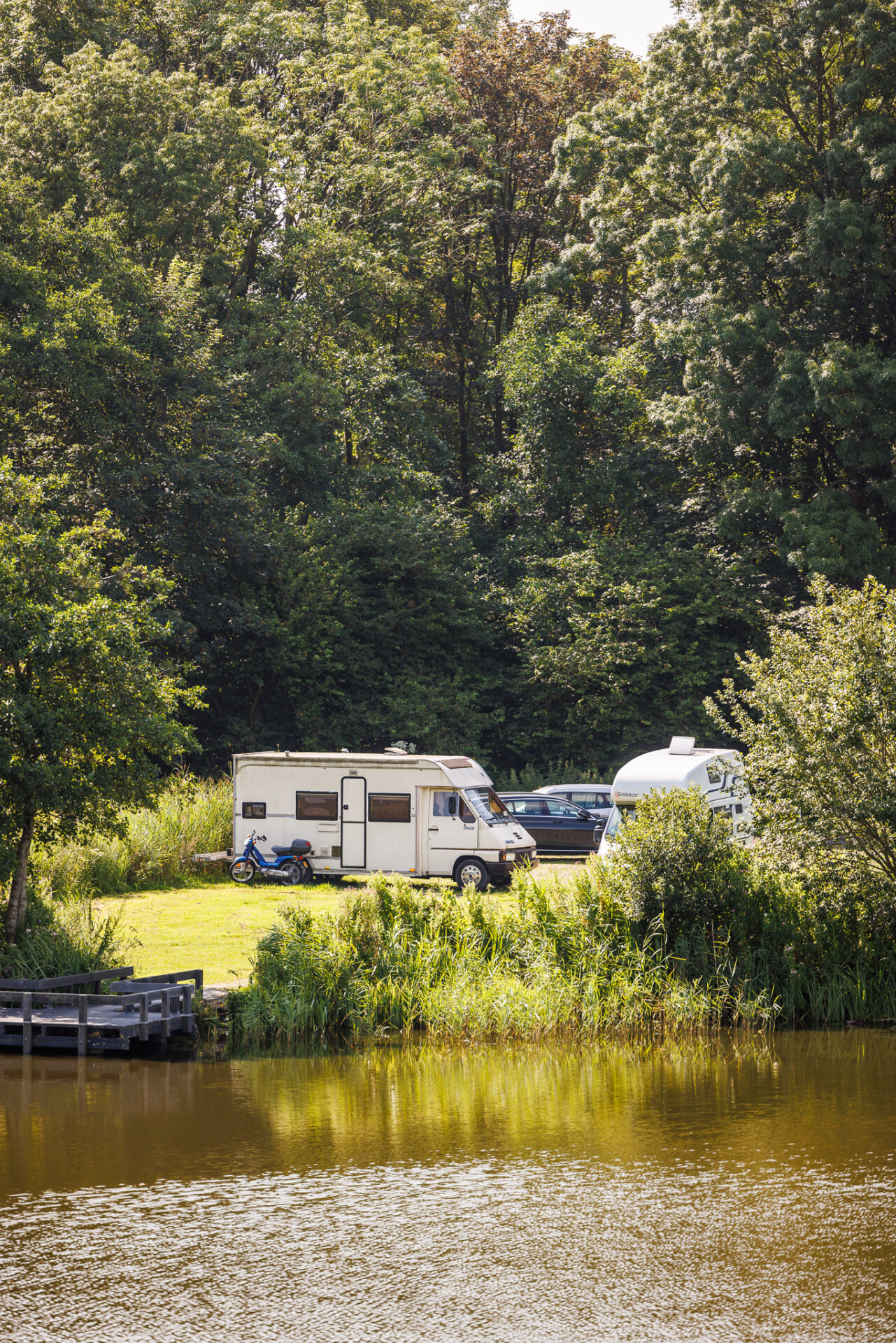 De Groene Ster Campingplek De Kleine Wielen camper aan het water met veel groen natuur en bomen en bos close up