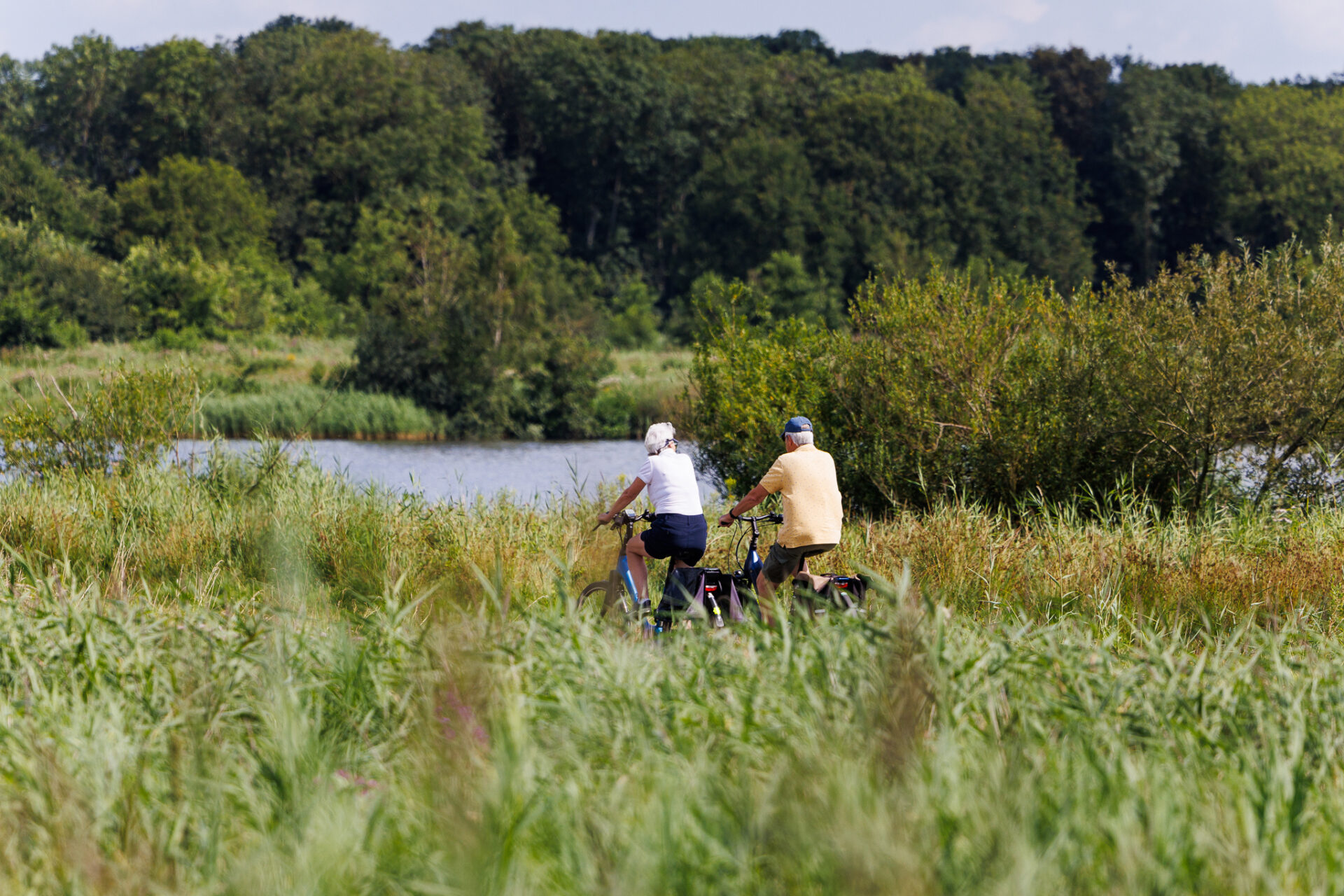 Fietsers in het buitengebied van Leeuwarden (de groene ster)
