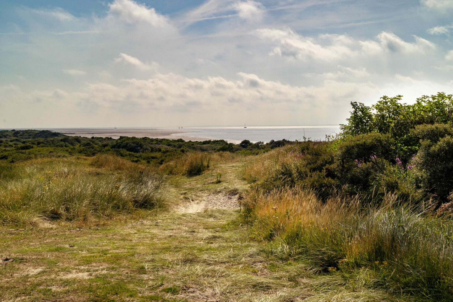 Duinen Ameland