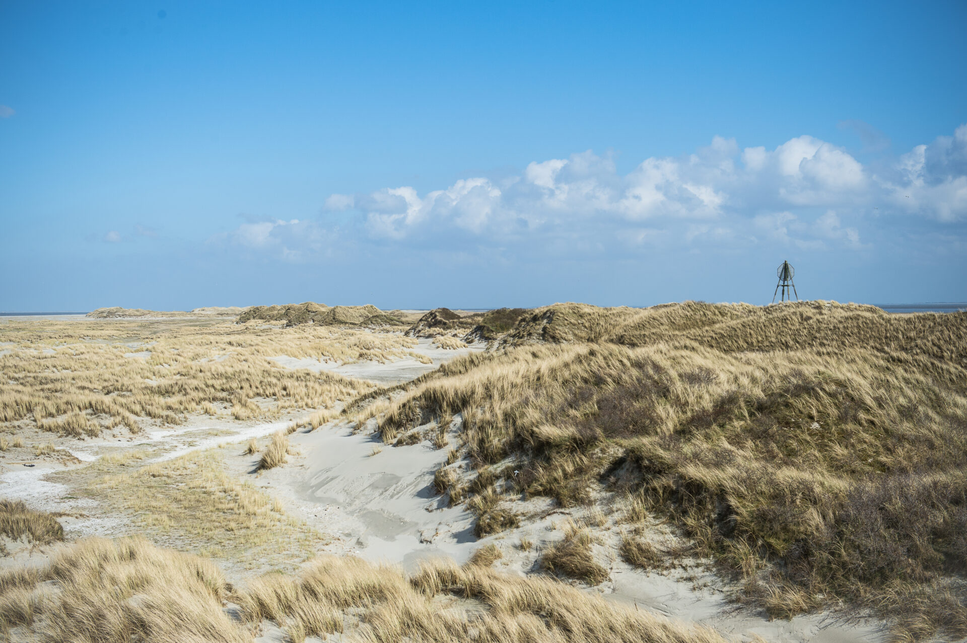 duinen Ameland strand