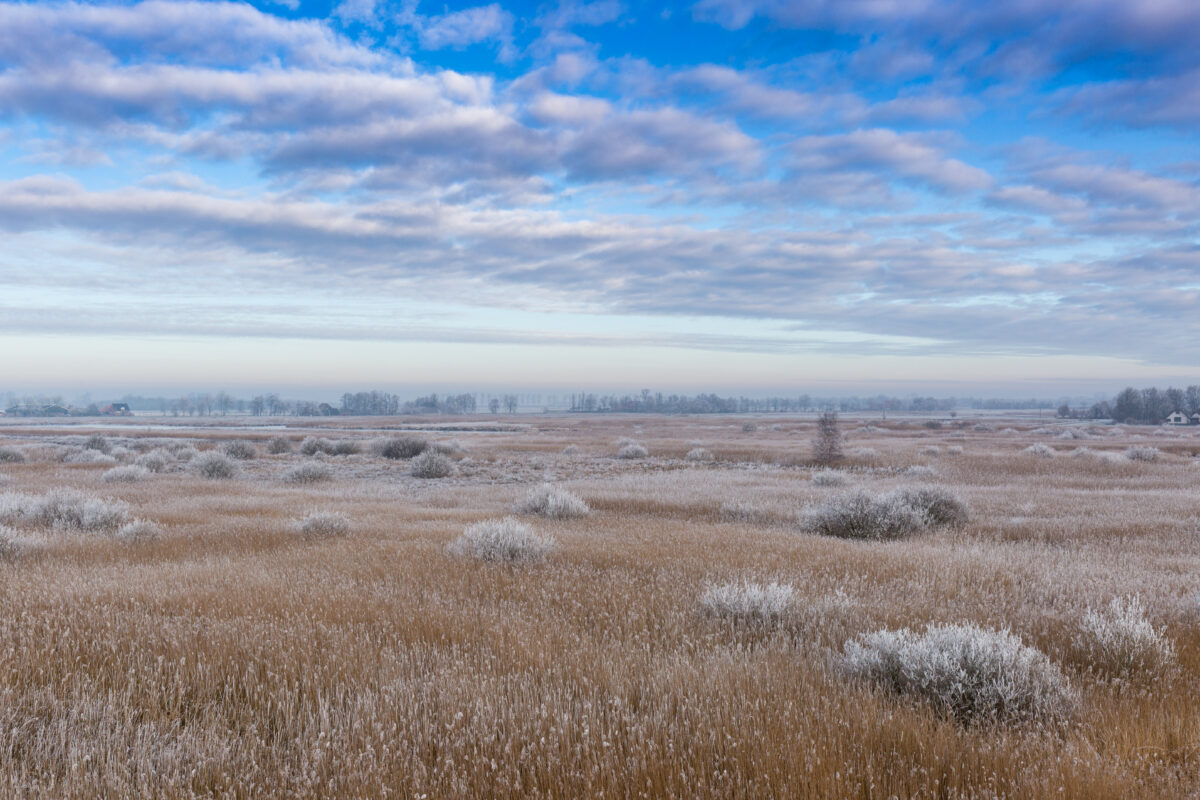 Vergezicht natuurgebied de Alde Feanen tijdens een mooie winterdag