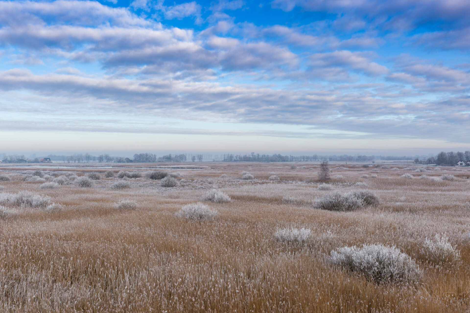 Vergezicht natuurgebied de Alde Feanen tijdens een mooie winterdag