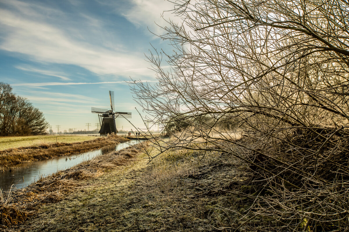 Foto van de FroskePôlle in de winter in Leeuwarden