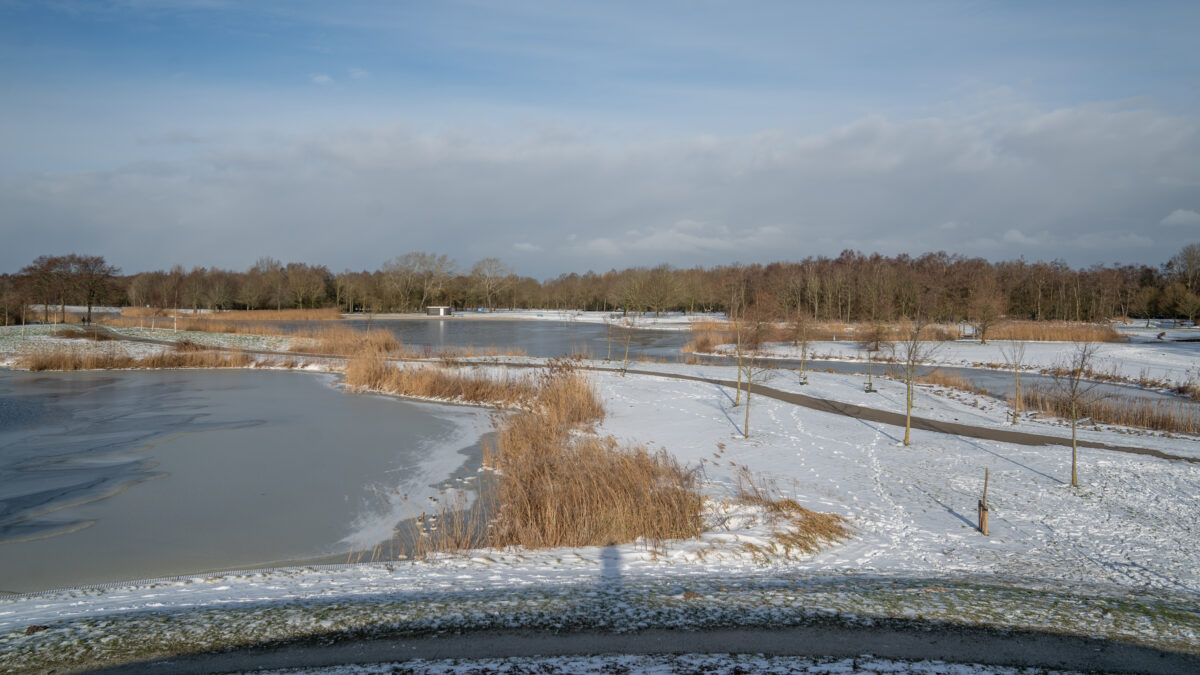 Winterse foto van het recreatiegebied De Goene Ster in Leeuwarden