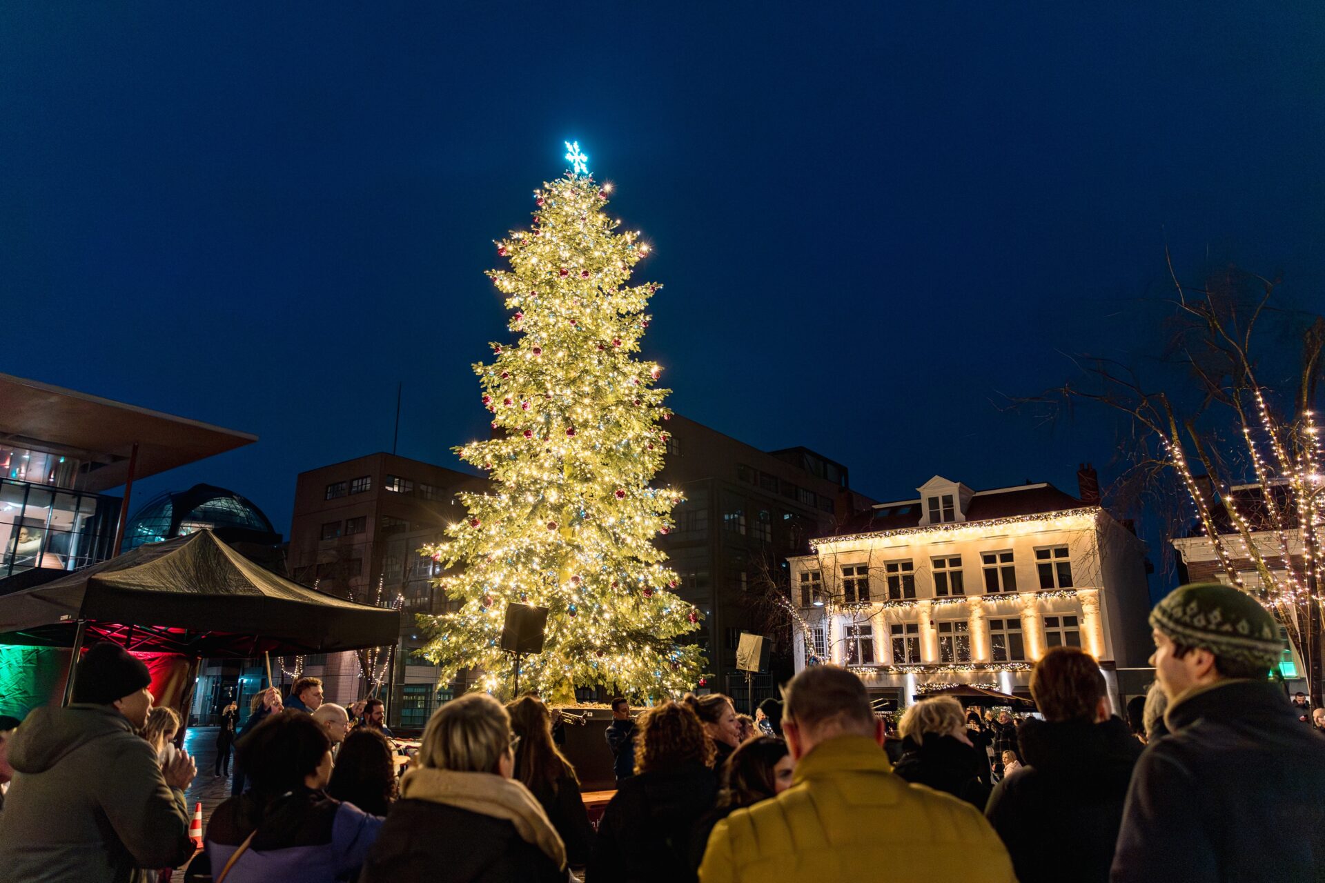 Gigantische verlichte kerstboom op het Wilhelminaplein in Leeuwarden