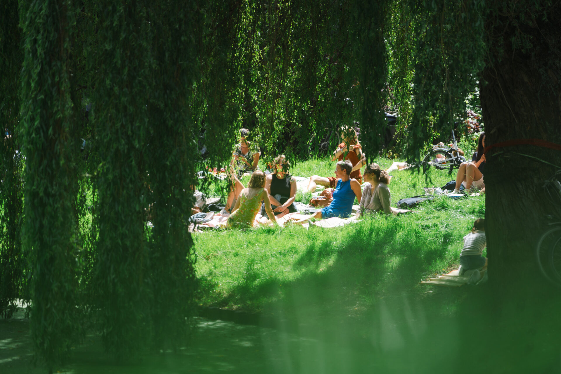 Mensen zitten in de zon in de Prinsentuin te genieten bij een Prinsentuinconcert.
