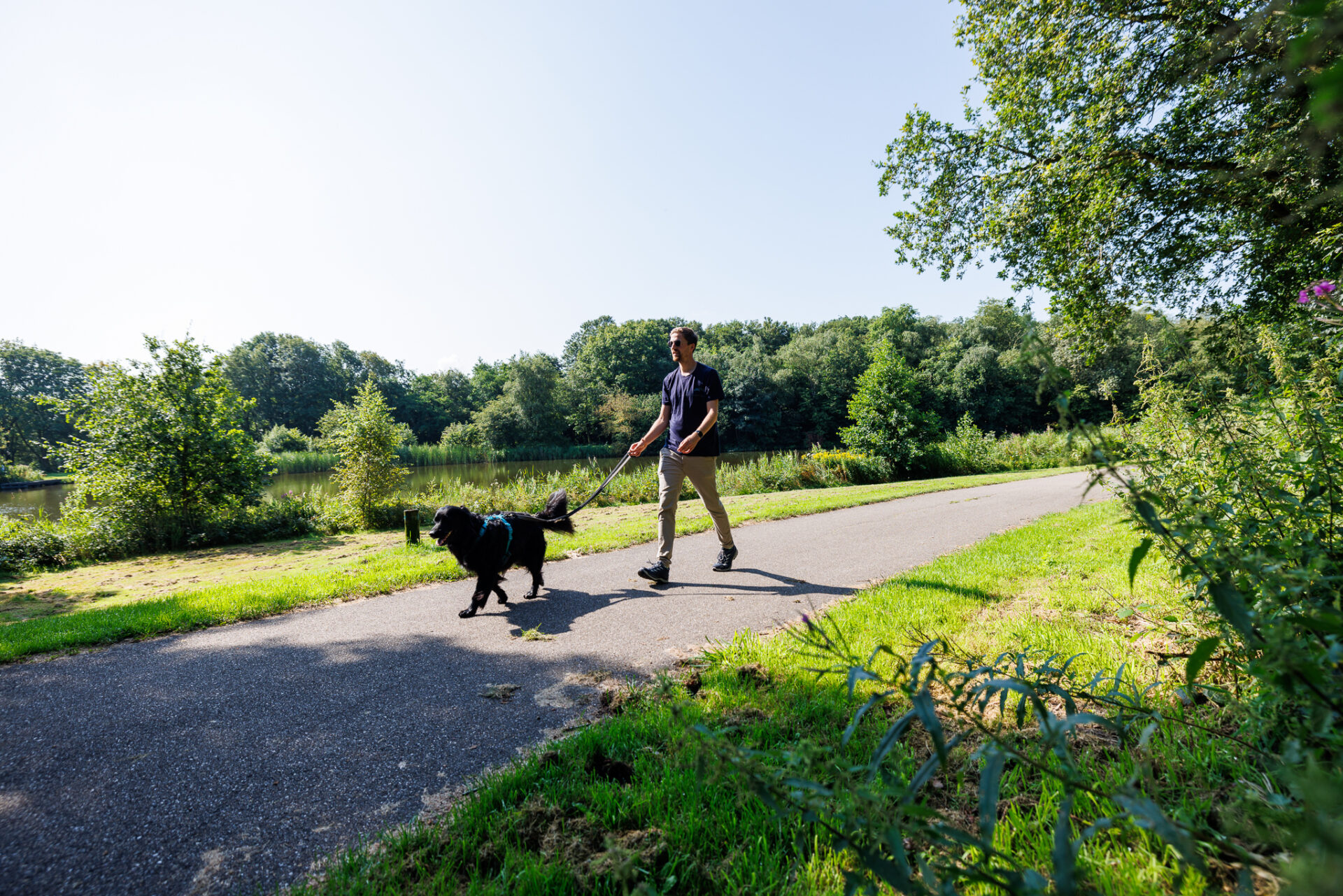 Man laat zijn hond uit in de Kleine Wielen