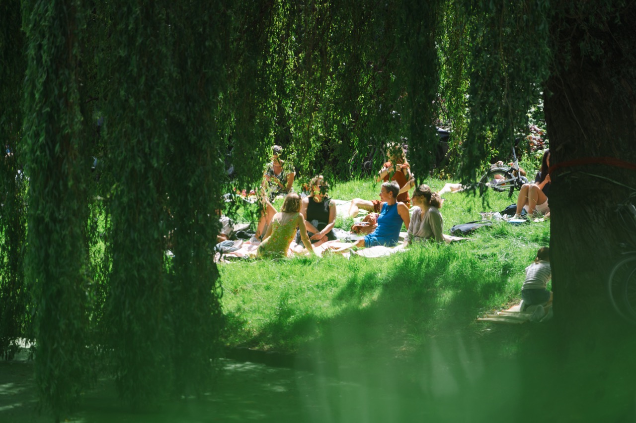 In de zomer zijn er gratis live concerten in de buitenlucht. Tijdens de Prinsentuinconcerten zitten en staan mensen in de Prinsentuin en genieten ze van de bands die er spelen in de muziekkoepel.